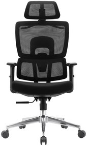 LUCKY-V4 Scaun ergonomic, suport lombar, tetiera 2D, umeras, Negru