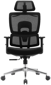 LUCKY-V4 Scaun ergonomic, suport lombar, tetiera 2D, umeras, Negru