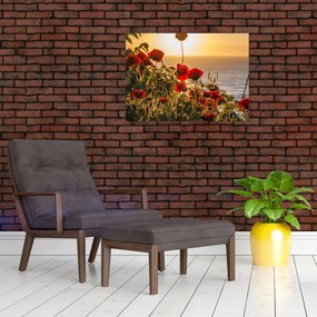 Tablou cu apus de soare cu flori de maci (70x50 cm)