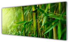 Tablouri acrilice Bamboo Tulpini Floral Verde