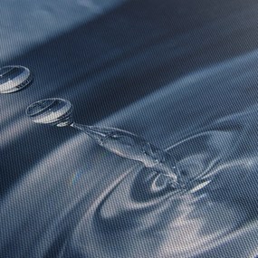 Tablou - Picături (70x50 cm)