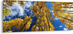 Tablou - Aspen (120x50 cm)