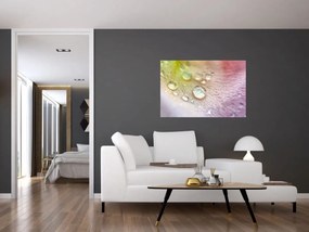 Tablou - Picături de rouă (90x60 cm)