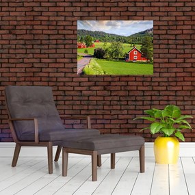 Tabloul cu țară (70x50 cm)