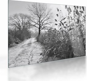 Tablou pe sticlă - Câmpuri în timpul iernii (70x50 cm)