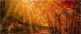 Tablou cu pădurea în toamnă (120x50 cm)