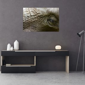 Tablou - Prim-planul ochiului de elefant vechi (90x60 cm)