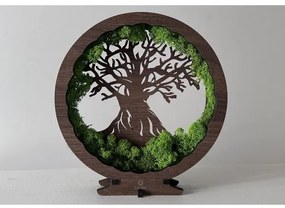 Li-Go 23631/DUB2 - Decorațiune de masă LED reglabilă LED/12W/230V 30x31 cm stejar