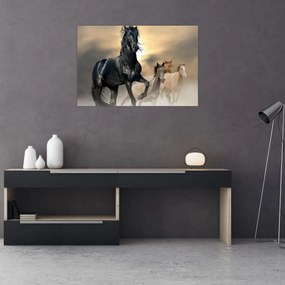 Tablou - Cai (90x60 cm)