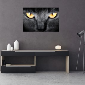 Tablou - Close up portret de o pisică (90x60 cm)