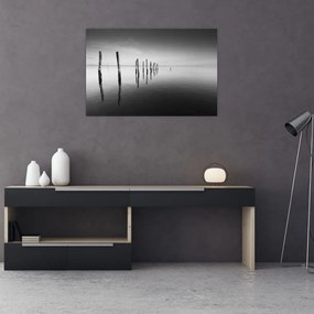 Tablou cu nivelul de lac alb negru (90x60 cm)