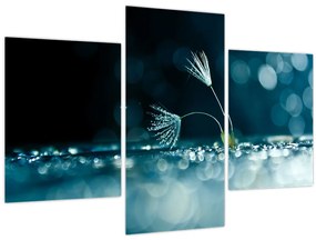 Tablou - Macro (90x60 cm)