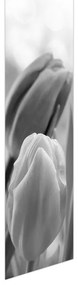 Fotojaluzele R012127R42150 (42x150 cm)