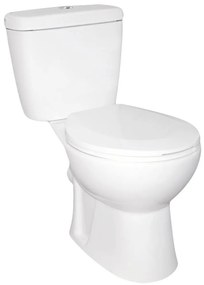 Toaletă monobloc Niagara Duo fără rampă, cu evacuare în spate și scaun