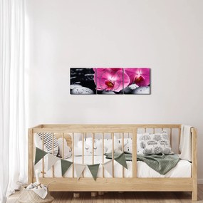 Tablou - Orhidee roz cu frunze de palmier (cu ceas) (90x30 cm)