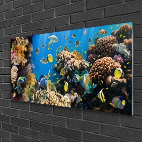 Tablouri acrilice Coral Reef Natura Multi