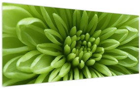 Tablou - Imagine macro a unei plante (120x50 cm)