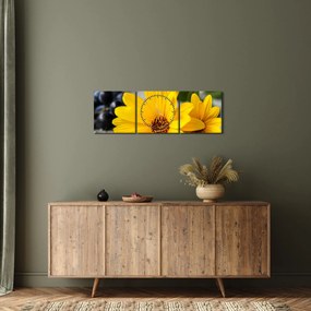 Tablou cu flori galbene (cu ceas) (90x30 cm)