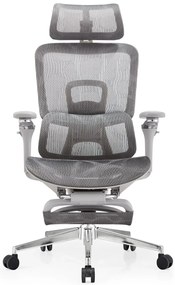 SYBERGO HUMAN PRO Scaun ergonomic, suport lombar, sezut translatie, cotiere 3D, suport picioare, Full Mesh, Gri