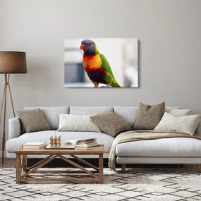 Tablou cu papagal (90x60 cm)