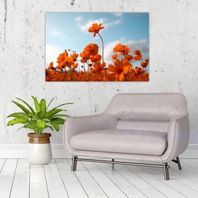 Tablou - Flori sălbatice (90x60 cm)