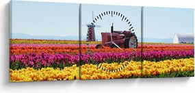 Tablou cu farma de lalele (cu ceas) (90x30 cm)