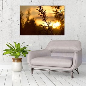 Tablou - Apus de soare (90x60 cm)