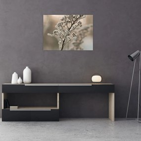 Tablou pe sticlă - Plantează în îngheț (70x50 cm)