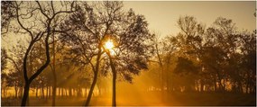 Tablou cu răsăsrit de soare (120x50 cm)