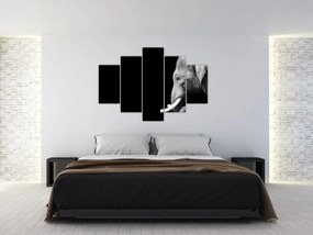 Tablou - Elefant (150x105 cm)