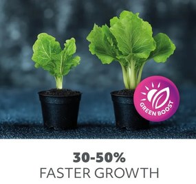 Bec led pentru cresterea plantelor, 8W, E27, filament