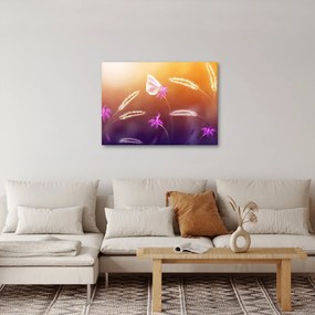 Tablou - Fluture roz (70x50 cm)