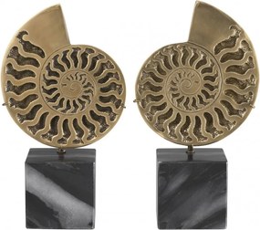 Set 2 obiecte decorative design deosebit LUX Ammonite 113731 HZ