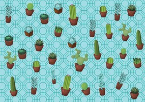 Fototapet - Cactus (254x184 cm)