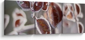 Tablou - Detaliu frunze (cu ceas) (90x30 cm)