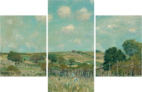 Tablou - Alfred Sisley,  Meadow, reproducere (90x60 cm)
