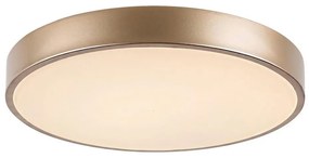 Rabalux 71037 - Plafonieră LED TESIA LED/36W/230V 3000K