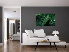 Tablou - Detaliu al foii (90x60 cm)