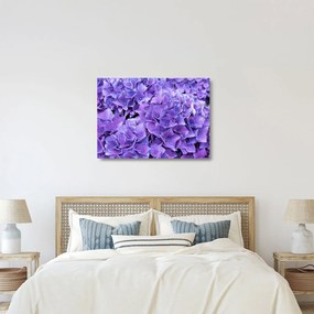 Tablou pe sticlă cu flori violete (70x50 cm)