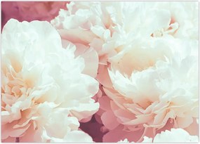 Tablou cu flori (70x50 cm)