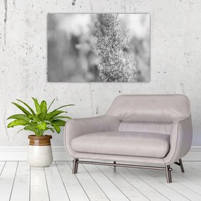Tablou - Iarbă de pampas Boho (90x60 cm)