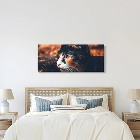 Tablou - Privirea pisicii (120x50 cm)