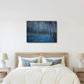 Tablou - Pădurea magică (70x50 cm)
