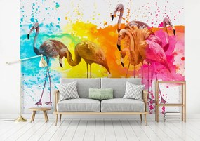 Fototapet - Flamingo (152,5x104 cm)