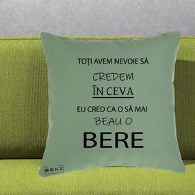 Perna Decorativa Eu Cred ca mai Beau o Bere, 40x40 cm, Verde, Husa Detasabila, Perna Inclusa, BEKZ®
