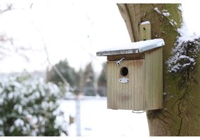 Căsuță pentru păsări din lemn – Esschert Design