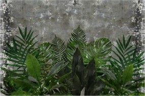 Tablou - Zid de beton cu plante (90x60 cm)