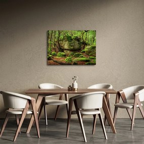 Tablou cu pădurea fermecată (70x50 cm)