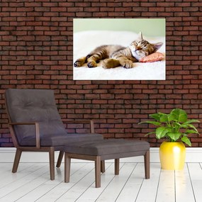 Tablou - Pisicuța adormită (90x60 cm)