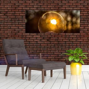 Tablou - Bulă transparentă (120x50 cm)